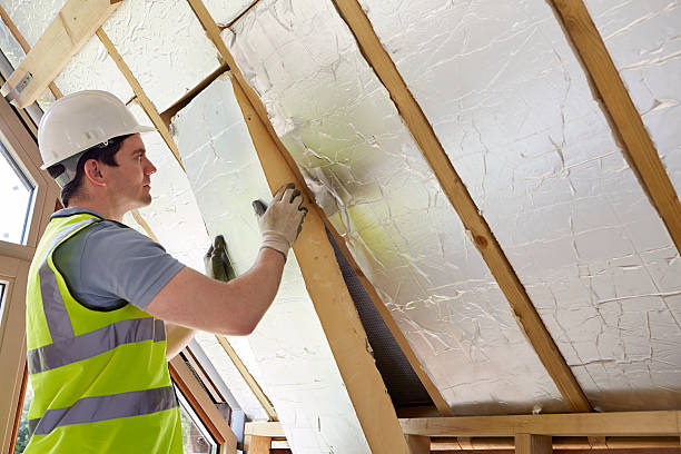 Best Blown-in Insulation in Rosharon, TX
